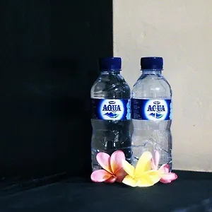 Ulu Bali Homestay